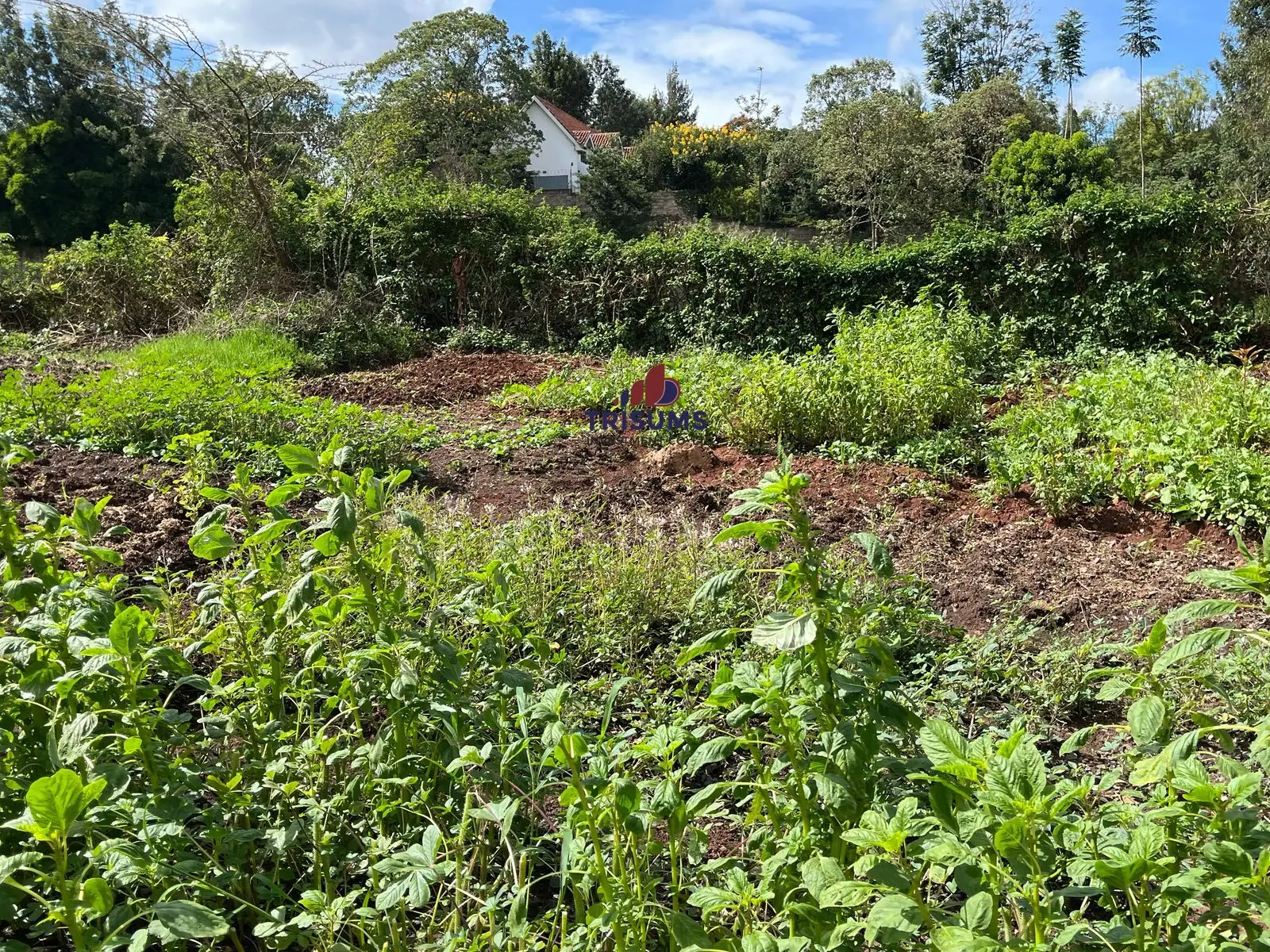 Prime 2.1 Acres for Sale